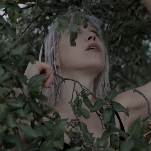 五月丁香婷婷六月
